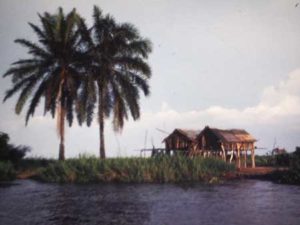 Palmiers et cabanes sur le fleuve