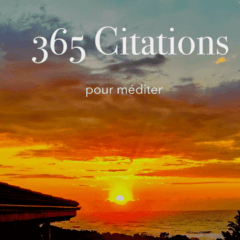 365 Citations