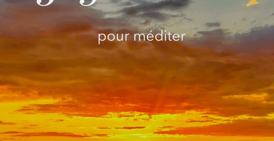 365 Citations